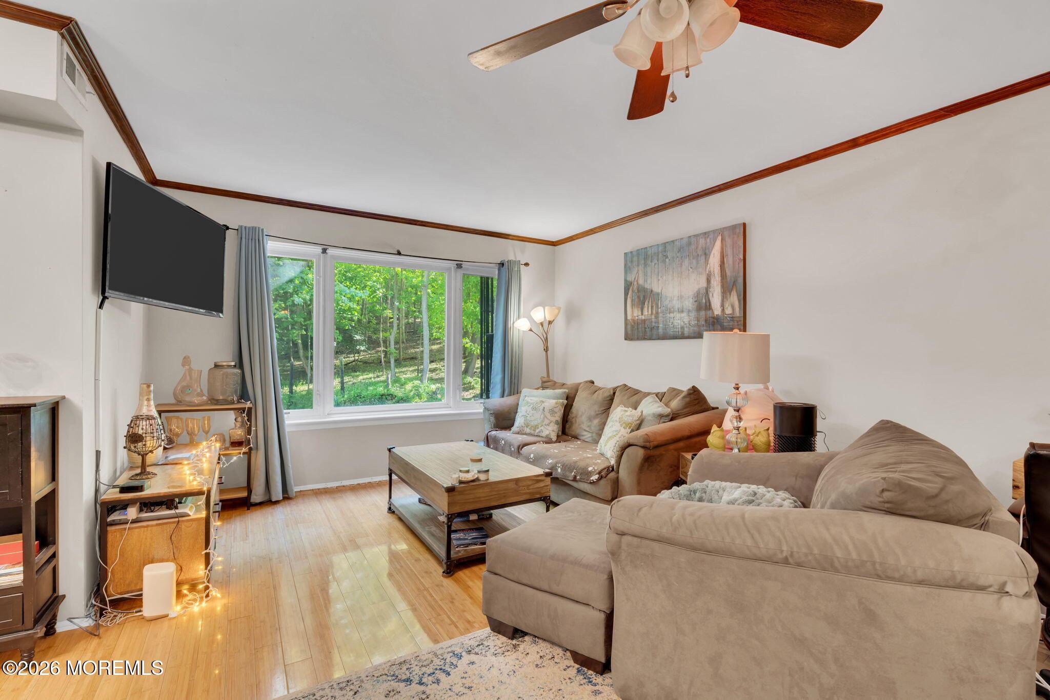 Image 4: 9-web-or-mls-DSC03285