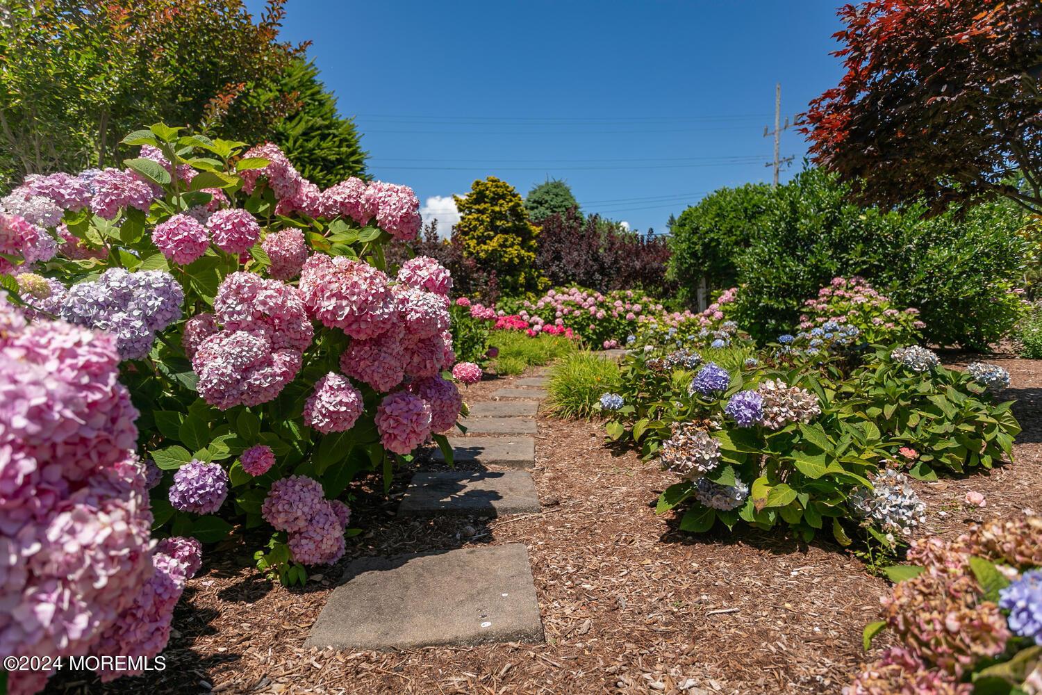 Image 4: 366 NJ35 Mantoloking NJ 08738-large-096-