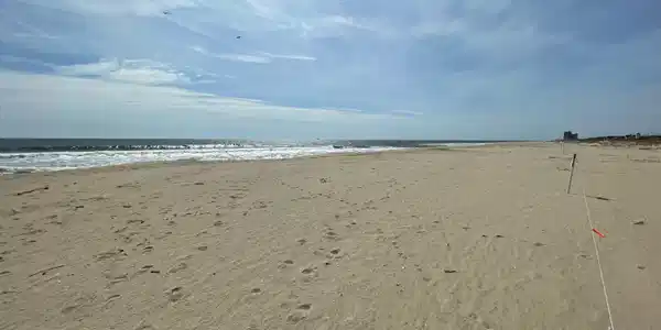 Image 2: 1500 Ocean Ave 4