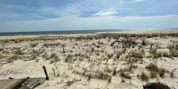 Image 4: 1500 Ocean Ave 2
