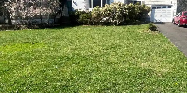 216 Queens Drive S