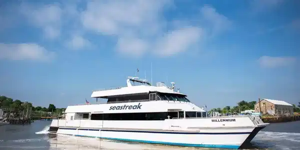 Image 4: Ferry to NYC