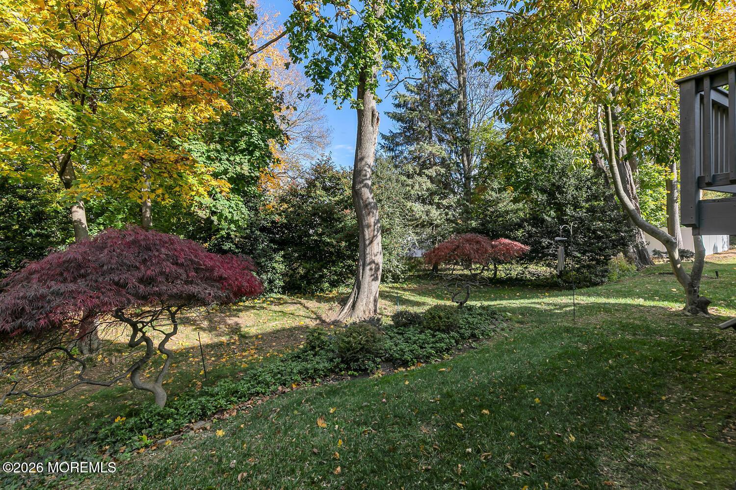 Image 2: Private rear yard