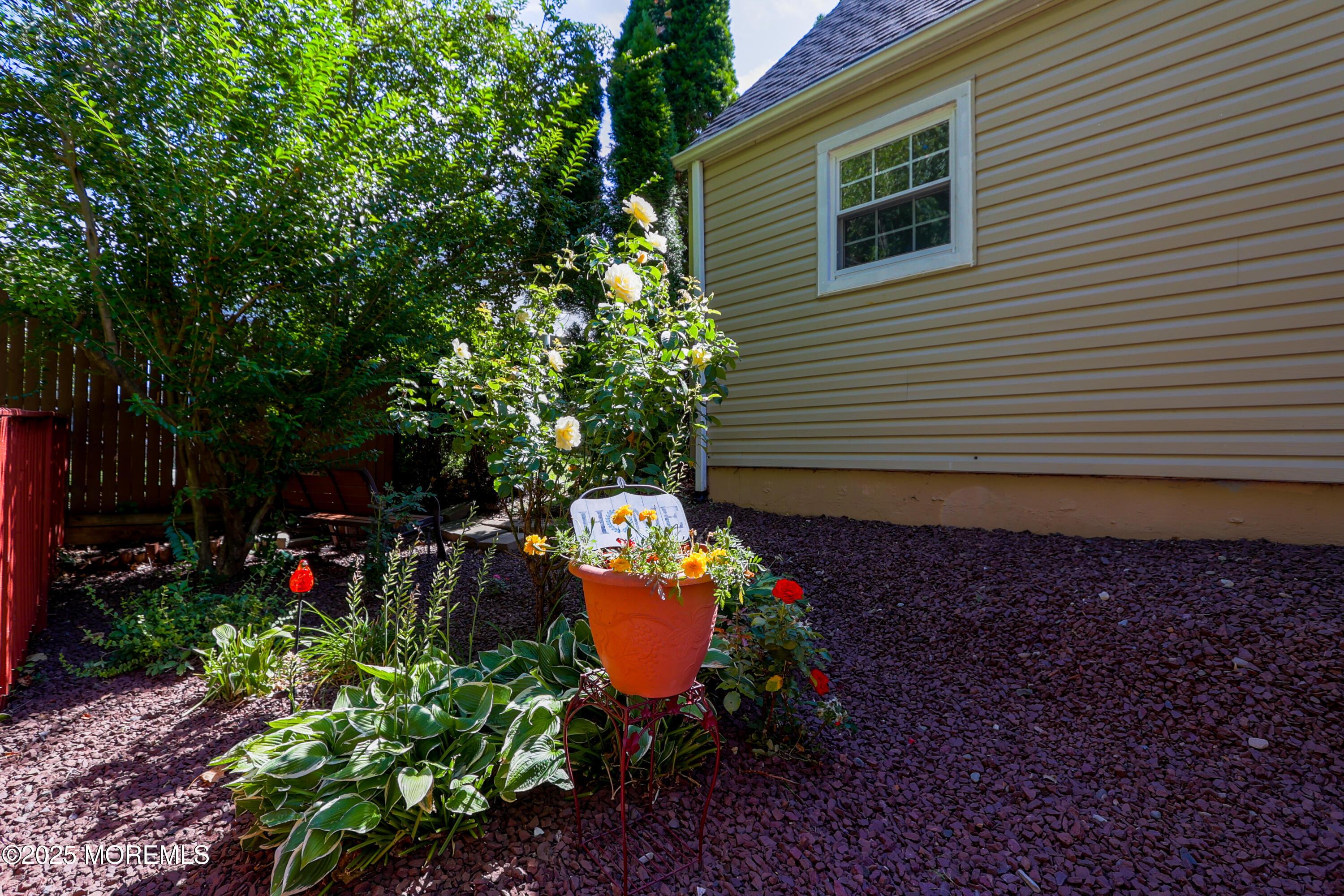 Image 3: 5F7A8375-HDR