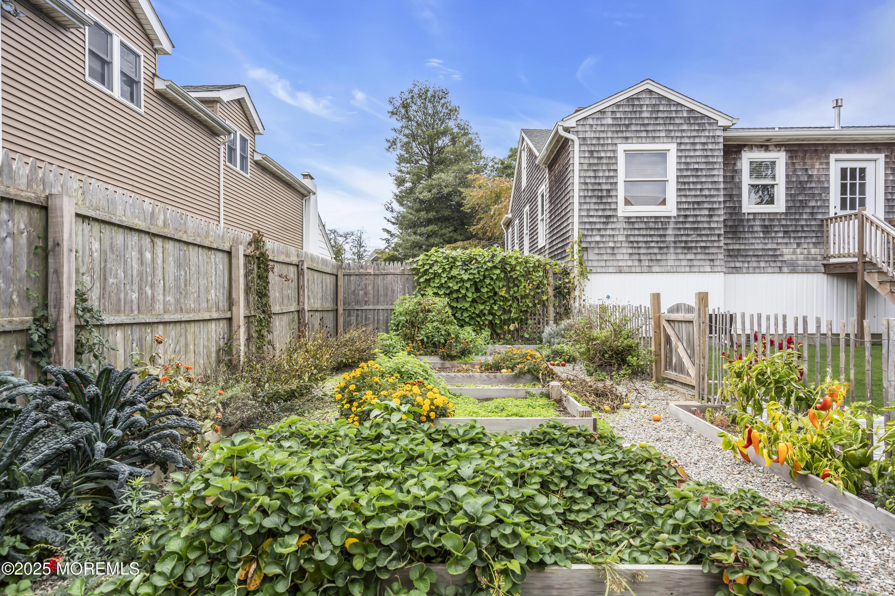 Image 4: 059_dsc02446-1_549