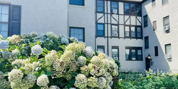 17 Leroy Place Unit 1C