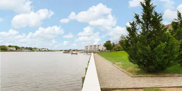 Image 4: Marina