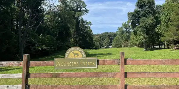 799 Navesink River Road