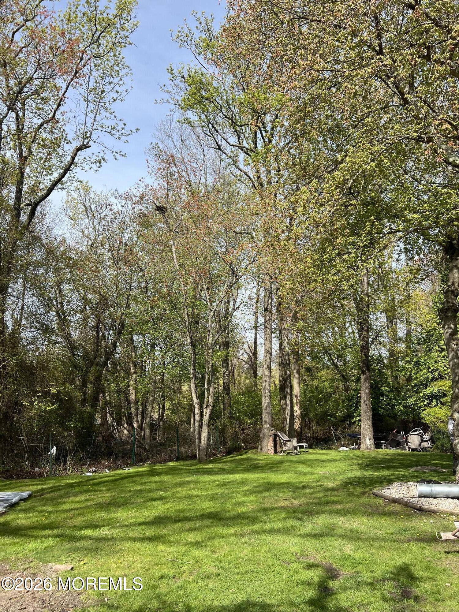 Image 3: Backyard