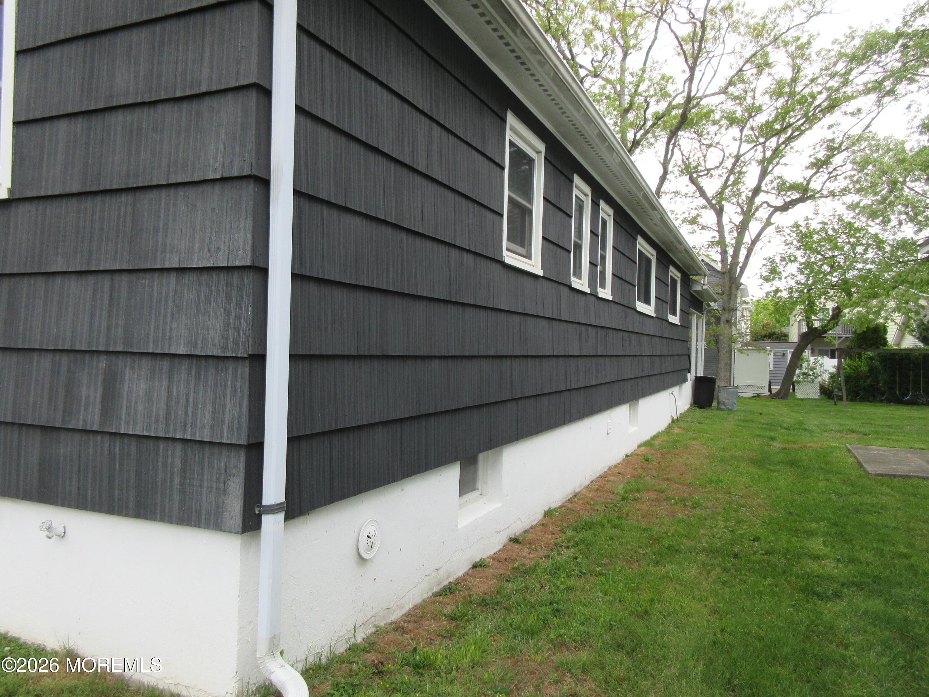 Image 4: IMG_2061