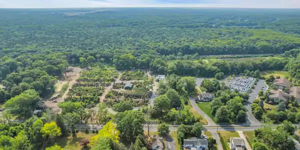 Image 2: 002_dji_0250