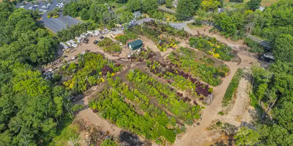 Image 3: 003_dji_0242