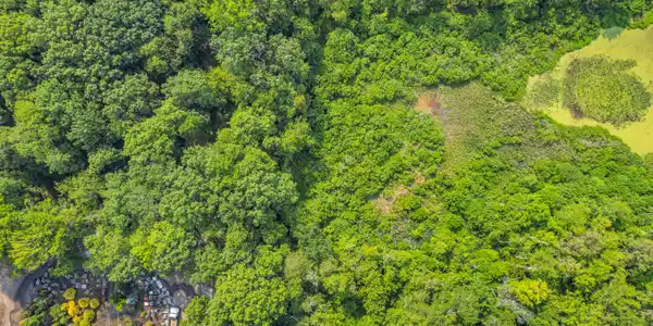 Image 4: 004_dji_0193