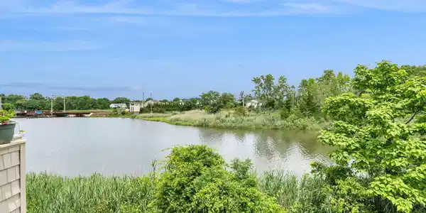 Image 3: 119-web-or-mls-4M3A9744 (2)