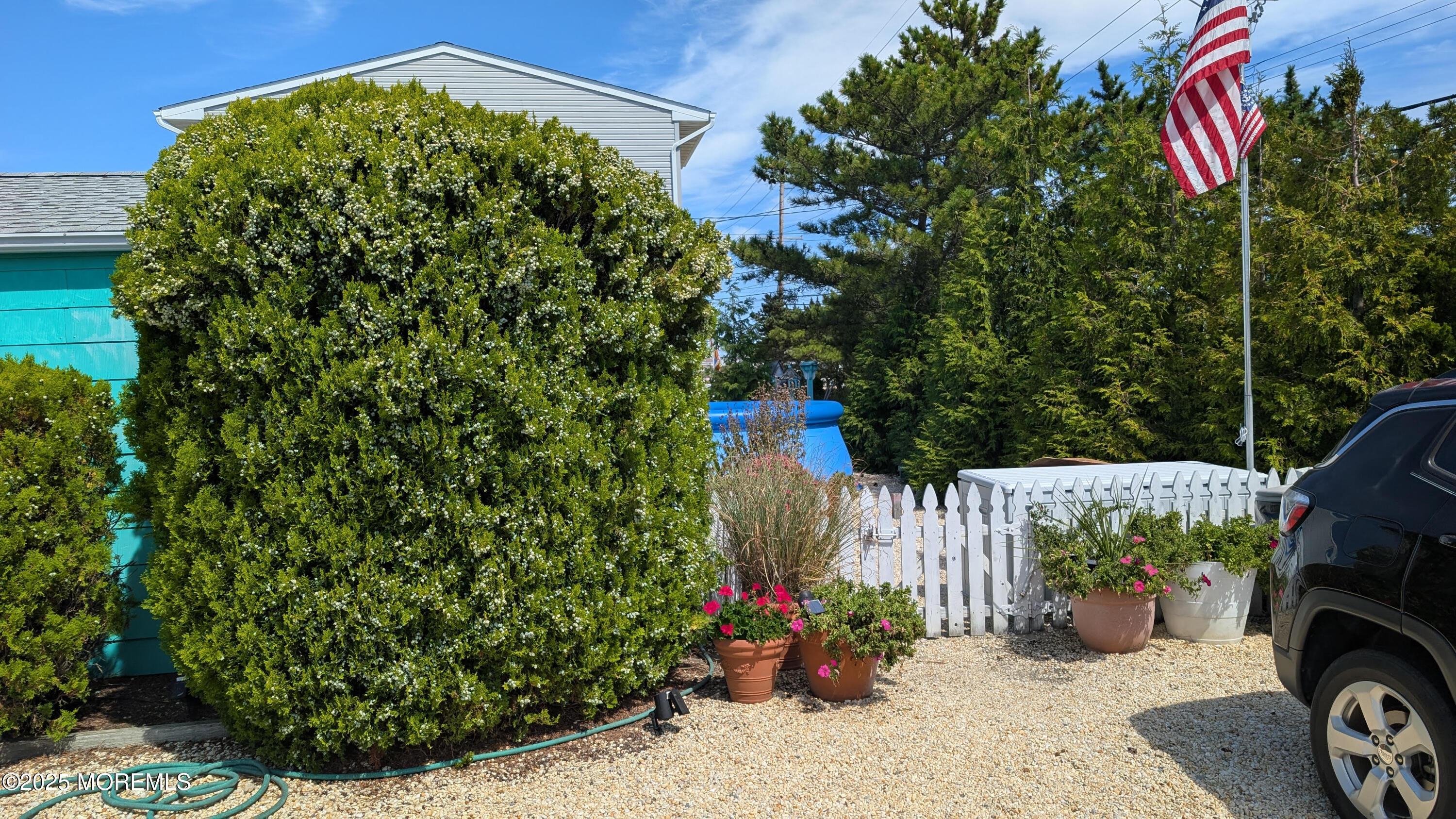 Image 4: bushes