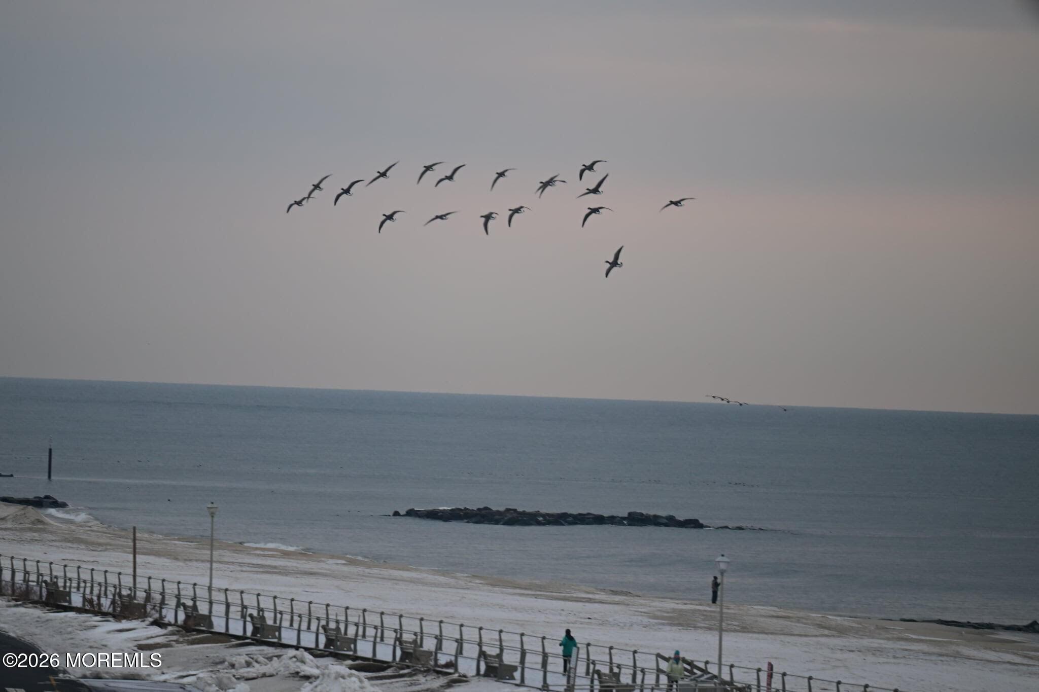 Image 4: Hushed morning views