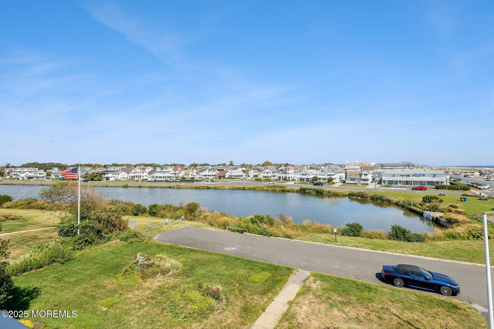 Image 4: 3-web-or-mls-VMD006