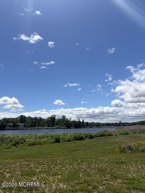 Image 4: IMG_2710