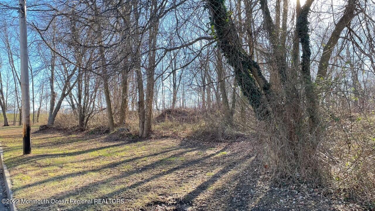 Image 2: Clinton Street #2