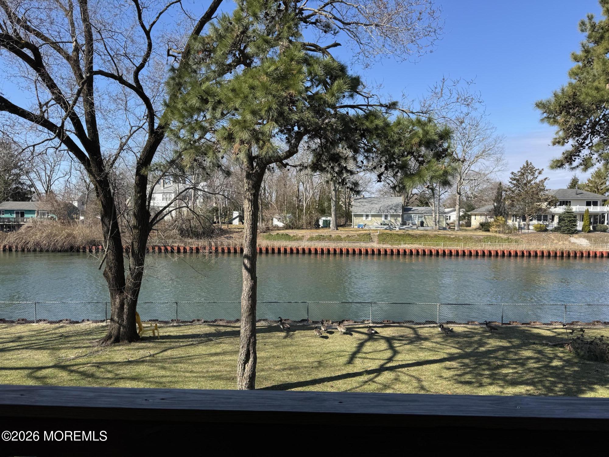 Image 2: Backyard View