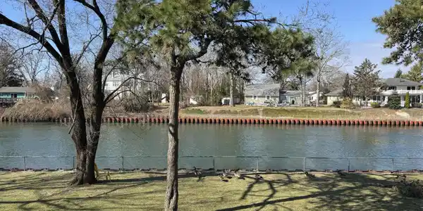Image 2: Backyard View