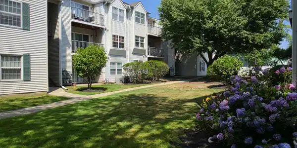 Image 4: 4 Building rear