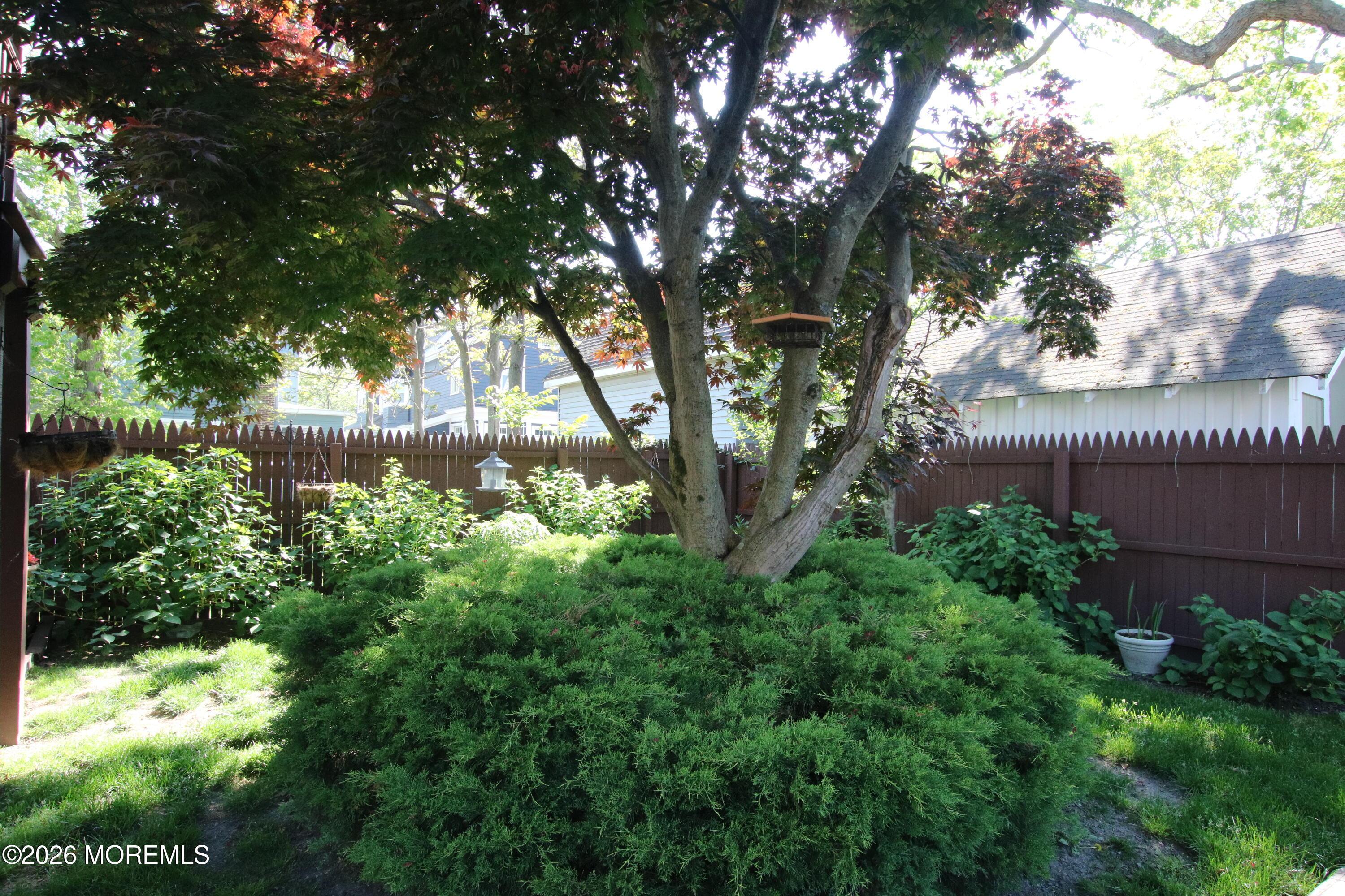 Image 2: Front Yard