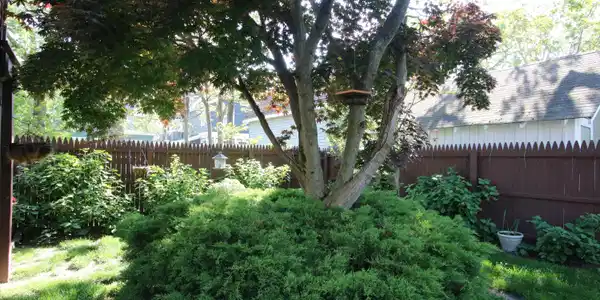 Image 2: Front Yard