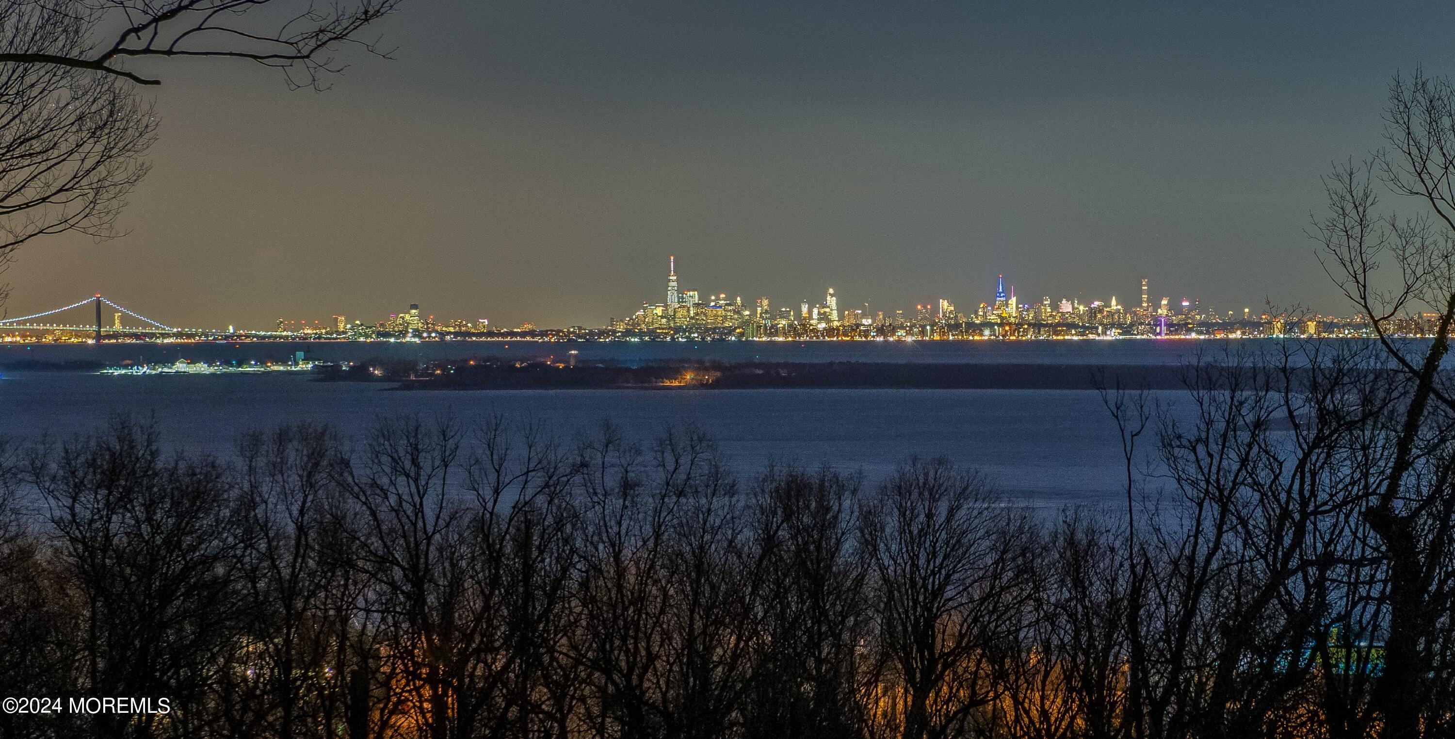 Image 2: 2a NYC SKYLINE AT NIGHT BY MICHELLE