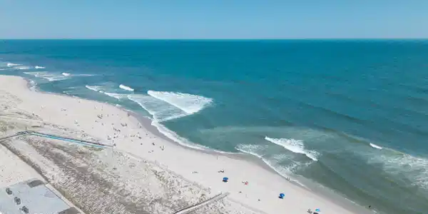 Image 3: 3) 71361-6a0f01f8e5c6f