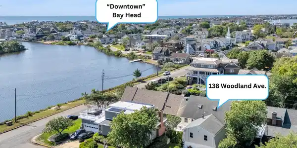 Image 3: 138 Woodland Avenue-3