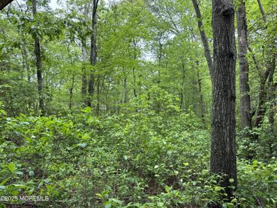 311 Court House Dennis Road