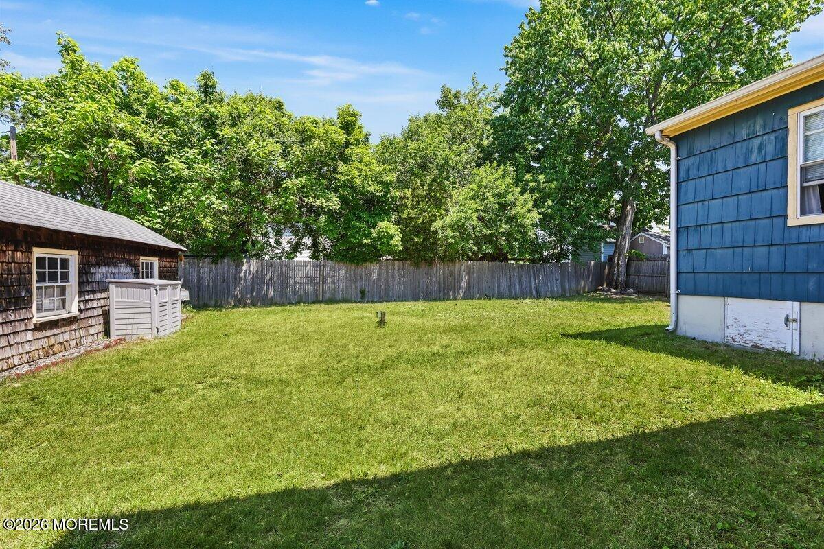 Image 3: Backyard 5