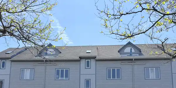 113 Lareine Avenue Unit 301