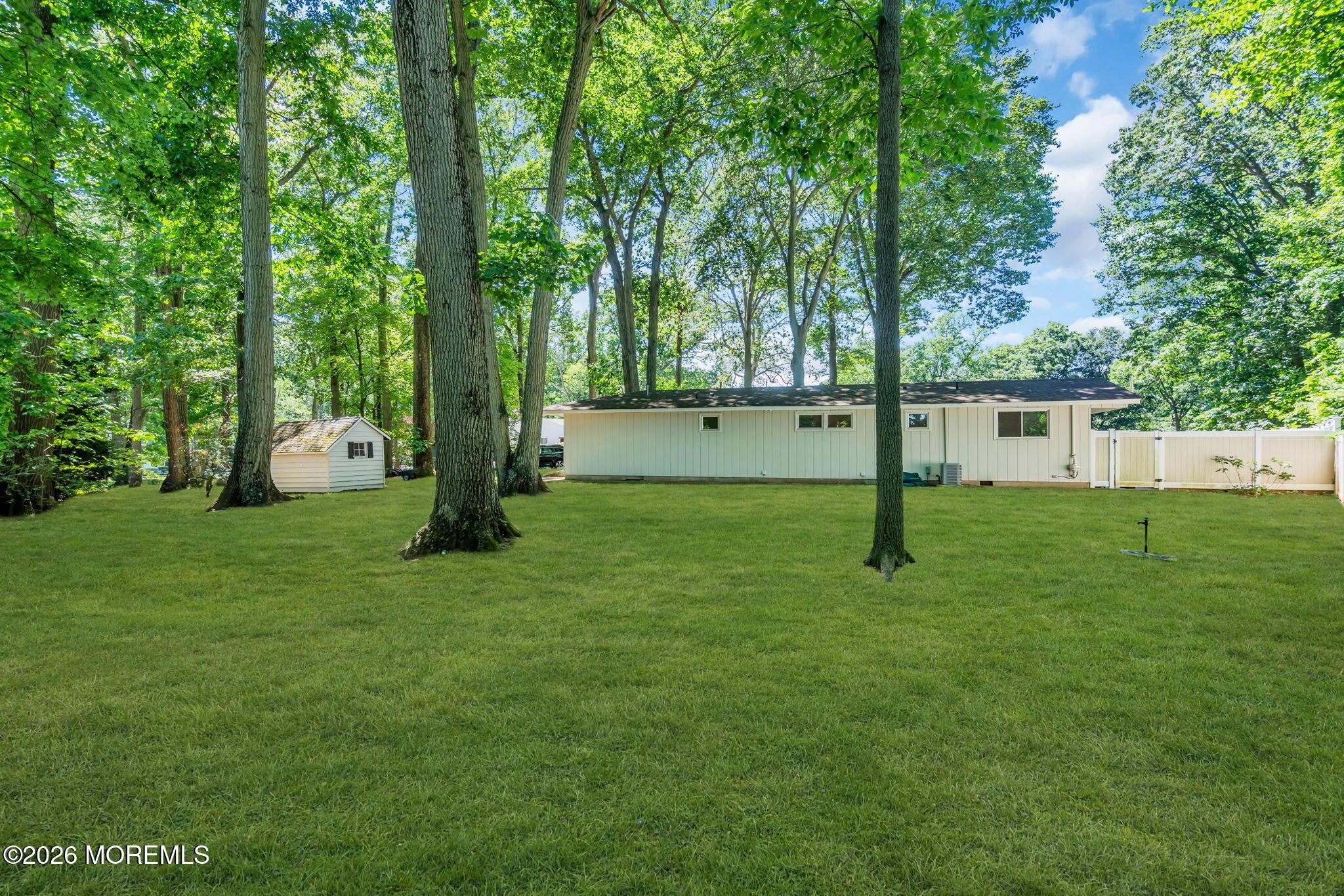 Image 4: side yard