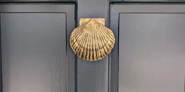 Image 3: Scallop