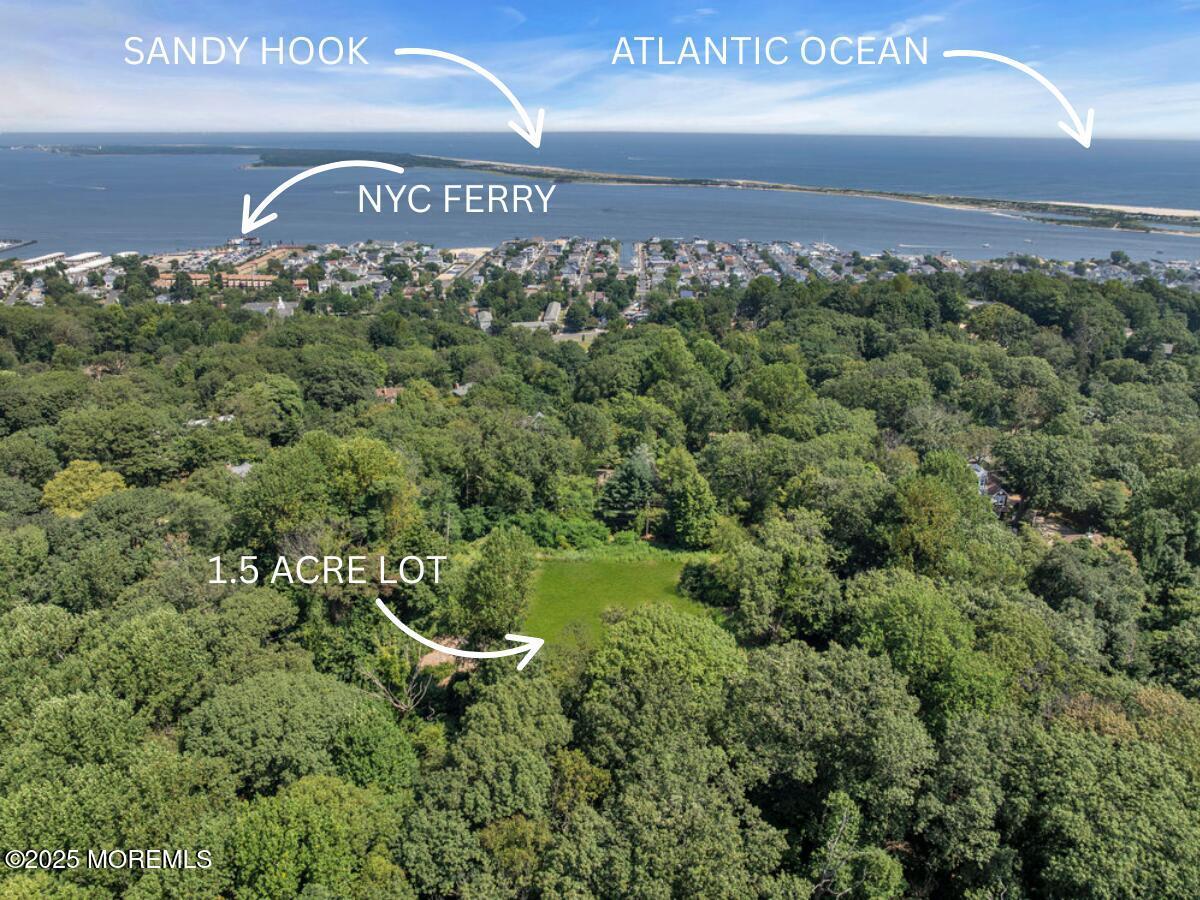 Image 2: SANDY HOOK