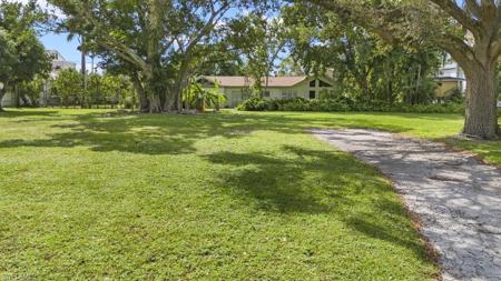 1334 Plumosa DR