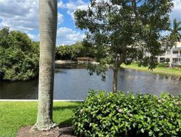 6151 Pelican Bay