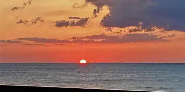 4901 Gulf Shore N