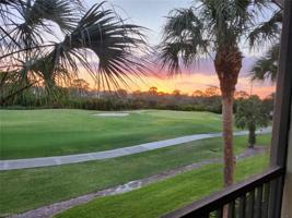 20840 Hammock Greens