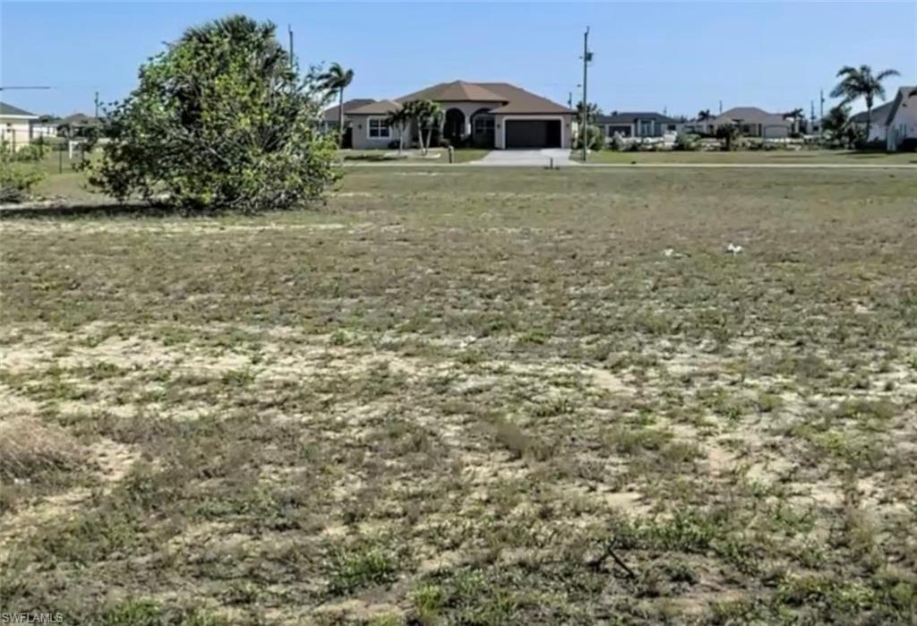 Image 2: Expansive cleared lot featuring natural ground cover, mature foliage, and surrounding residential structures