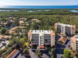 15161 CEDARWOOD