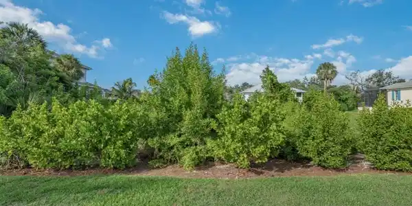 376 Beach Lily LN