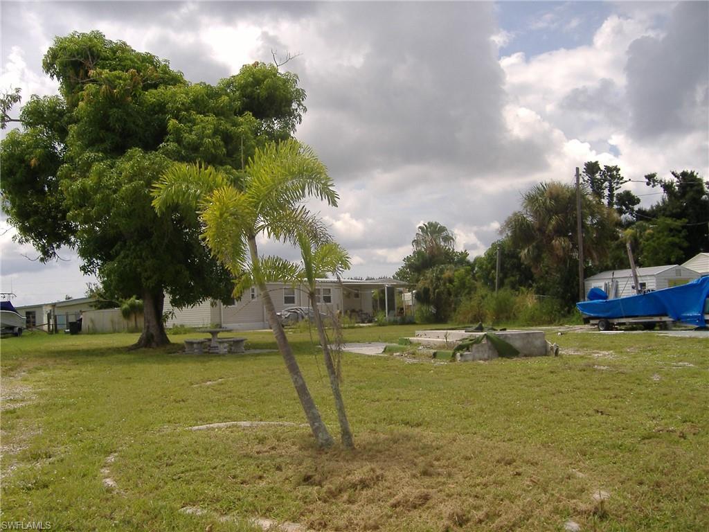 Image 2: View of yard