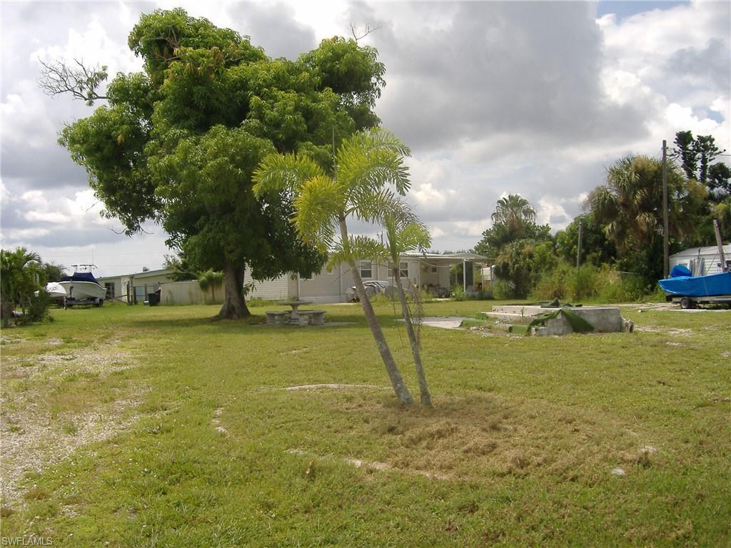 Image 3: View of yard