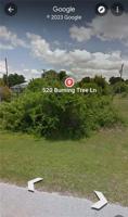 520 Burning Tree LN