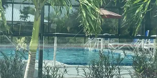 Image 4: Community pool with a lanai