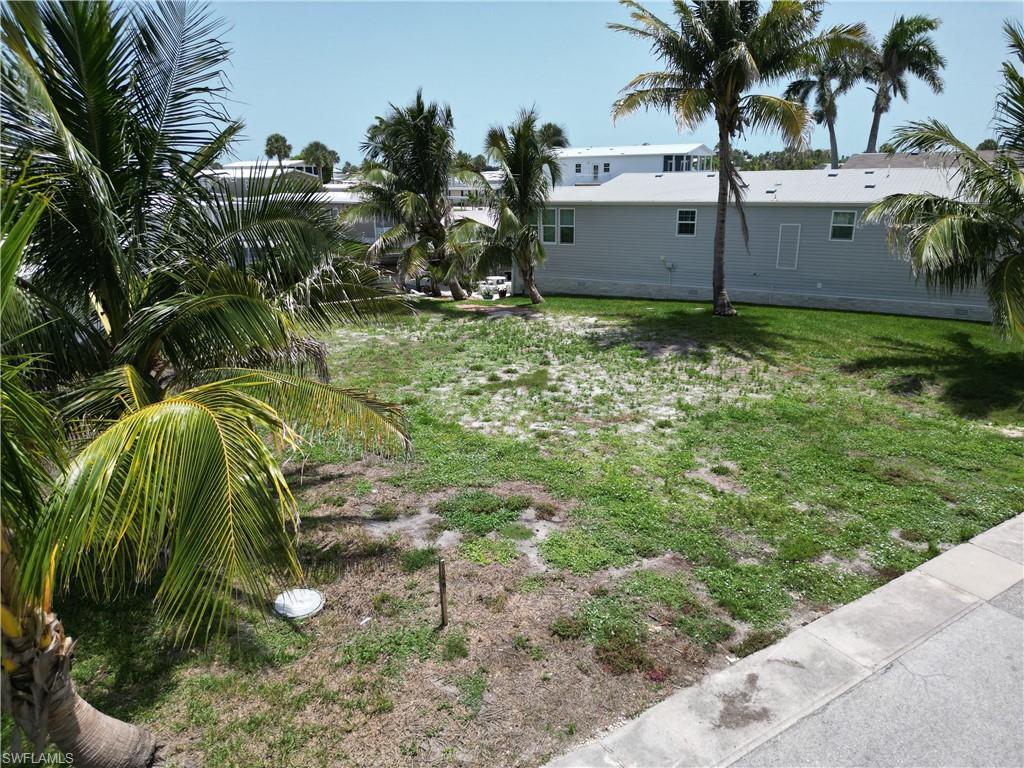 Image 2: Six lovely palm trees