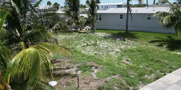 Image 2: Six lovely palm trees